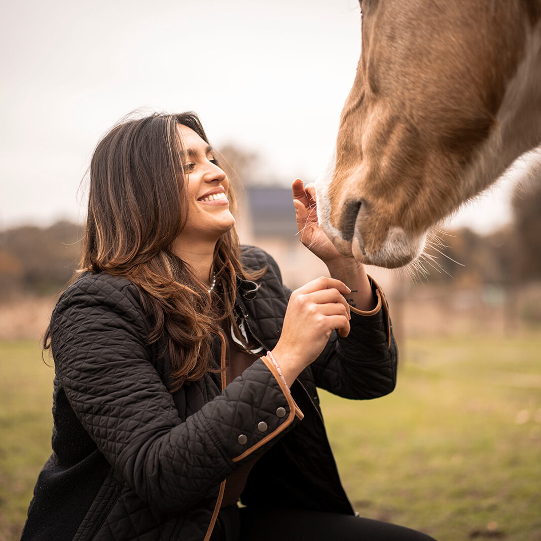 Werken aan de gezondheid van je paard