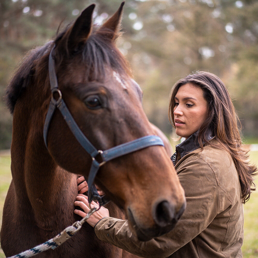 Holistic Equine osteopath