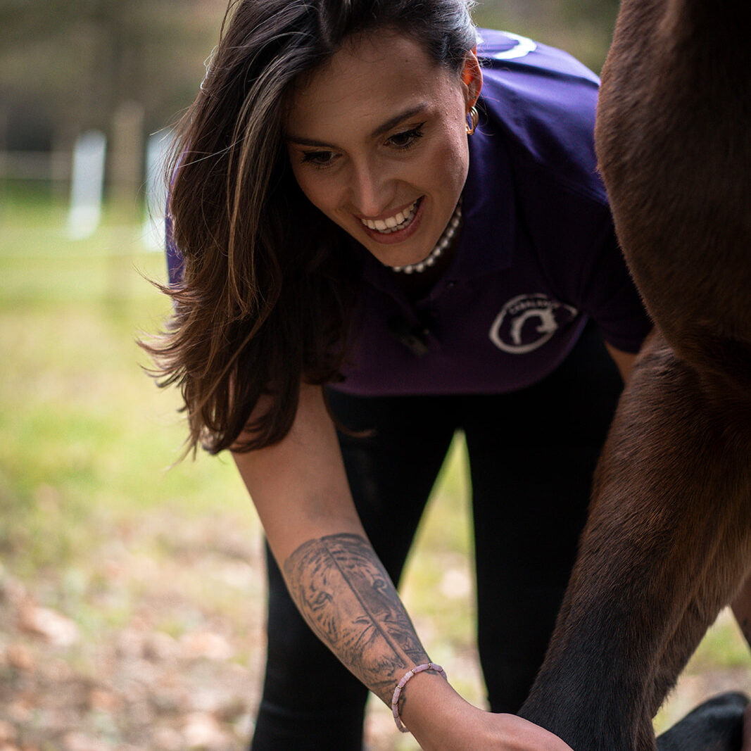 Holistic Equine osteopath